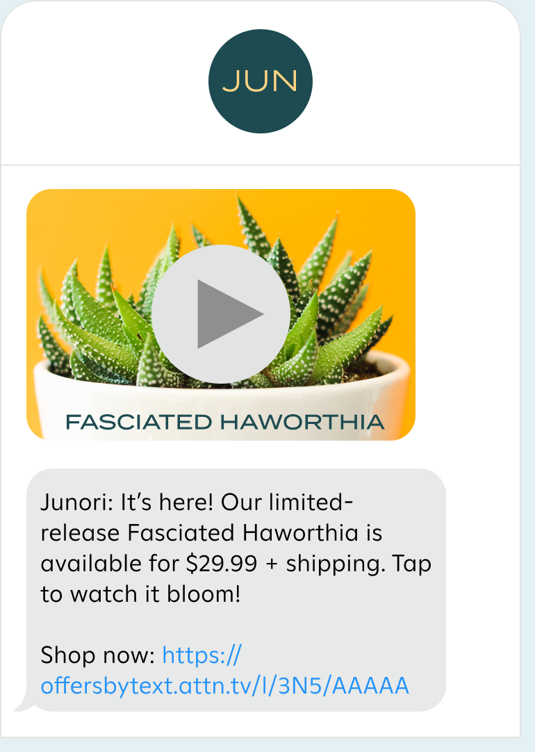 msg-add-native-video.png
