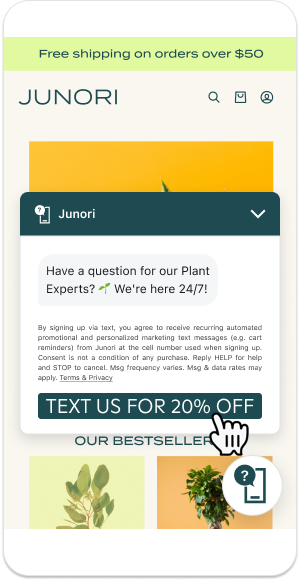 con-lsms-txt-us-opt-in.png