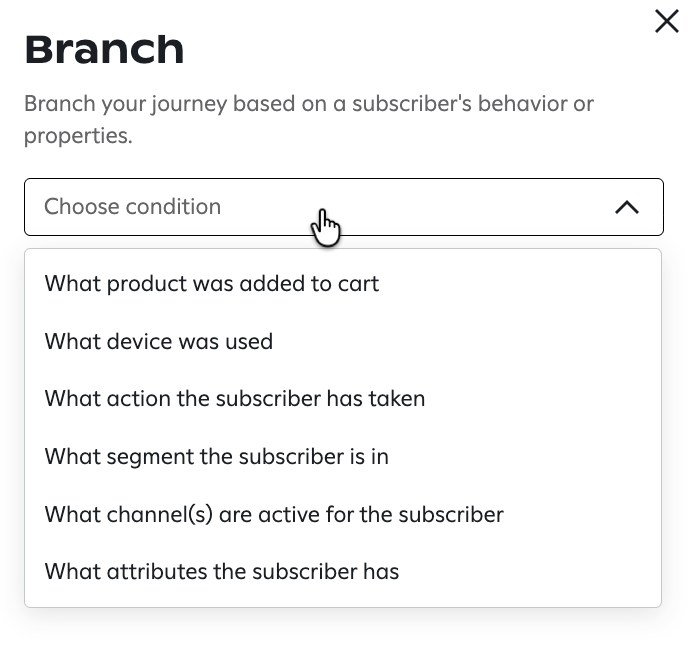 Image of the "Branch" rule condition dropdown.