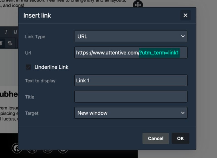 Image of link tracking menu for email